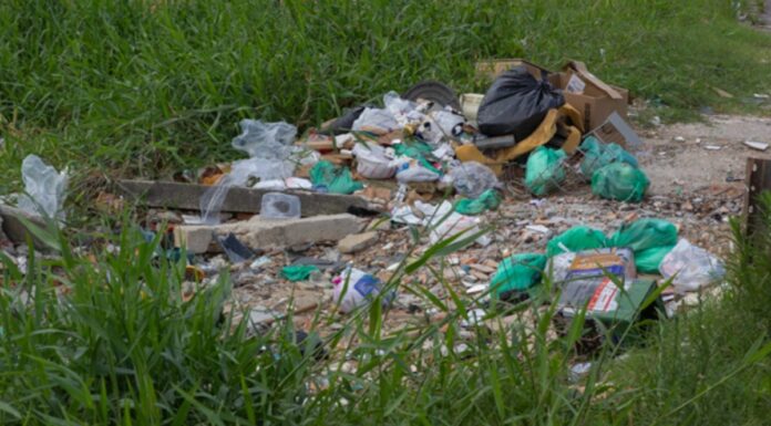 PREFEITURA DE FLORIANÓPOLIS ENDURECE REGRAS CONTRA TERRENOS ABANDONADOS E DÁ PRAZO DE 48 HORAS PARA LIMPEZA