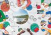 PALHOÇA PROMOVE NOVA CAPACITAÇÃO GRATUITA PARA FORTALECER O TURISMO SUSTENTÁVEL