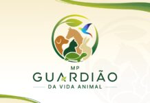 MPSC LANÇA OFENSIVA CONTRA MAUS-TRATOS E VIOLÊNCIA CONTRA ANIMAIS EM SANTA CATARINA