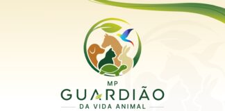 MPSC LANÇA OFENSIVA CONTRA MAUS-TRATOS E VIOLÊNCIA CONTRA ANIMAIS EM SANTA CATARINA