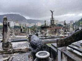 FLORIANÓPOLIS AMPLIA CONCORRÊNCIA NOS SERVIÇOS FUNERÁRIOS E PREPARA MODERNIZAÇÃO DO CEMITÉRIO DO ITACORUBI