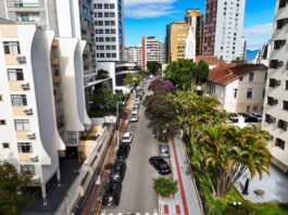 FLORIANÓPOLIS INICIA DEBATE NOS BAIRROS PARA DEFINIR O FUTURO DA ARBORIZAÇÃO URBANA