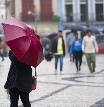 EL NIÑO SE INTENSIFICA NOS PRÓXIMOS MESES E DEFESA CIVIL MANTÉM MONITORAMENTO EM SANTA CATARINA