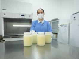 AGOSTO DOURADO: SOLIDARIEDADE QUE TRANSFORMA LEITE MATERNO EM ESPERANÇA
