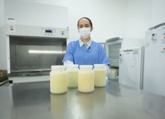 AGOSTO DOURADO: SOLIDARIEDADE QUE TRANSFORMA LEITE MATERNO EM ESPERANÇA