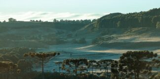 TEMPERATURAS DESPENCAM EM SANTA CATARINA A PARTIR DESTA QUINTA-FEIRA E FRIO SE INTENSIFICA NO FIM DE SEMANA