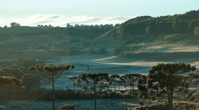 TEMPERATURAS DESPENCAM EM SANTA CATARINA A PARTIR DESTA QUINTA-FEIRA E FRIO SE INTENSIFICA NO FIM DE SEMANA