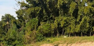 BUSCAS NO RIO CUBATÃO EM SANTO AMARO DA IMPERATRIZ: MENINO DE 6 ANOS É LOCALIZADO, E BOMBEIROS SEGUEM À PROCURA DE HOMEM DE 59 ANOS
